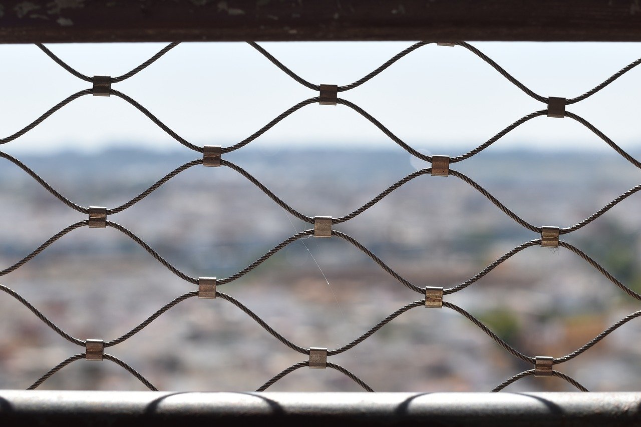 江湖悠悠：哔哩哔哩怎么找账号注册