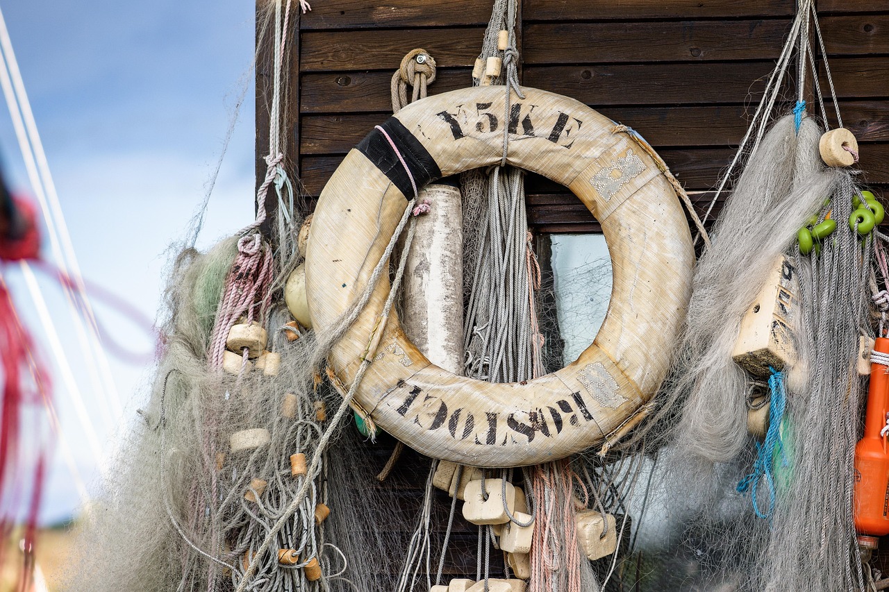 恒创科技实名账号：51动画视频详情下载教程APP