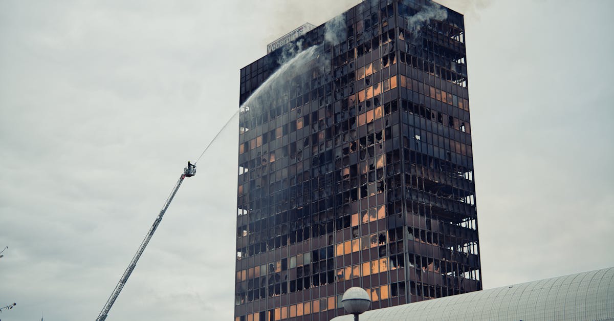 黑标七星：蓝鸟app软件详情下载教程