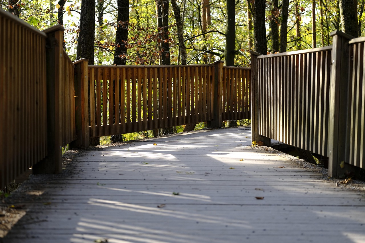 花田实名账号：注册bvi公司代理费用