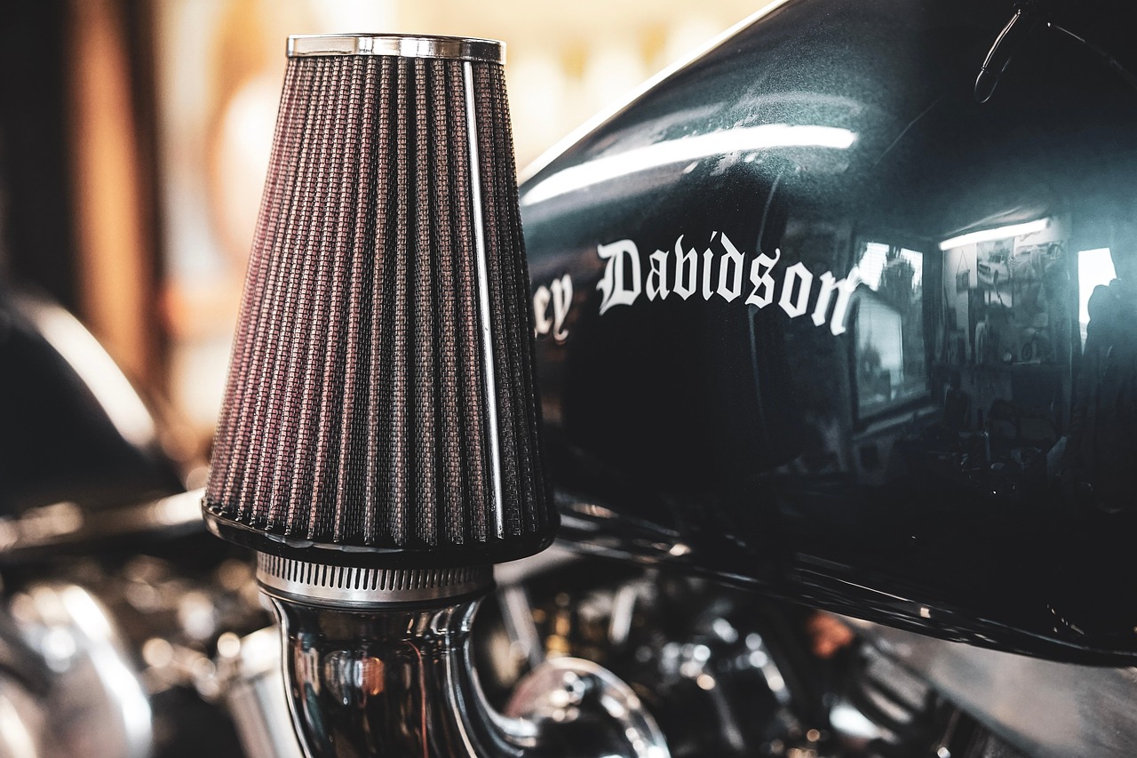 DogYun实名账号：喵咪app详情下载教程