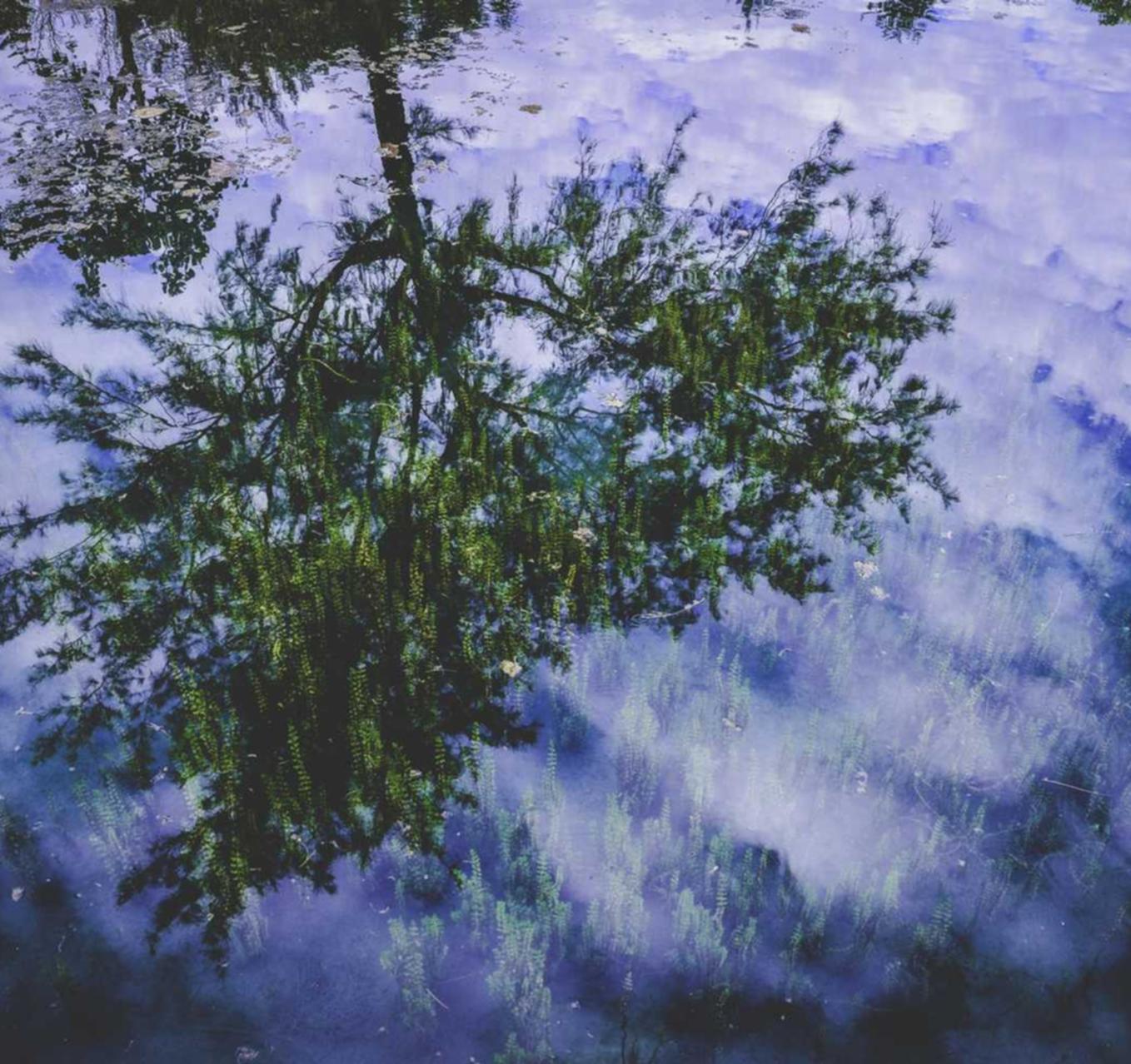 闲鱼实名账号：大话西游2数据账号注册