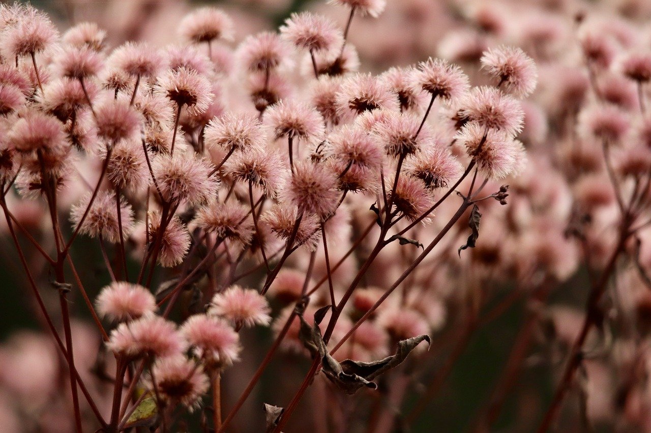 DDOS接单平台|低价话费充值平台代理